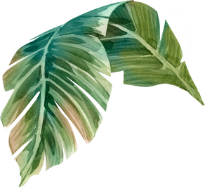 Watercolor Illustration of Green Tropical Leaf, Hand Painted